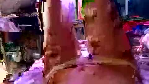 lady24x online show from 13, 3, 2026