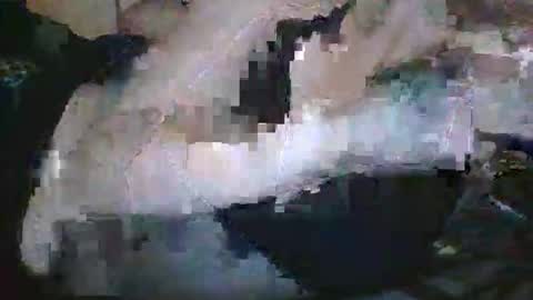 lady24x online show from 29, 4, 2026