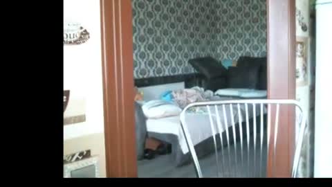 lady cute cat29 online show from 23, 6, 2026