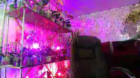 Lady Gloria online show from 22, 2, 2025