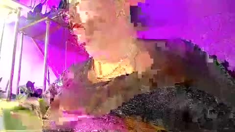 Lady Gloria online show from 8, 1, 2026