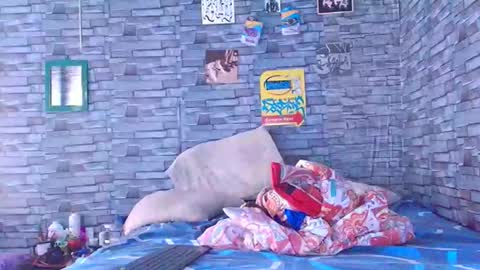 Lady godss online show from 1, 12, 2025