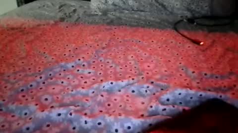 Stephanie online show from 15, 12, 2025