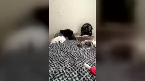Snapshot of ladyluckz chatting on 6, 7, 2026 Ladyluckz online show from 6, 7, 2026