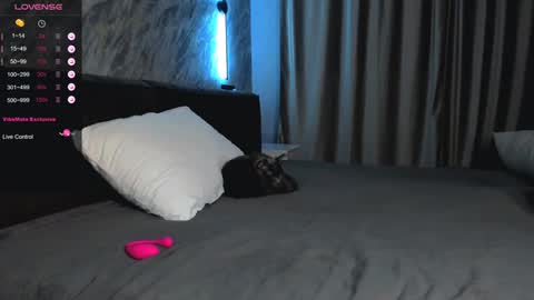 Bella online show from 28, 1, 2025