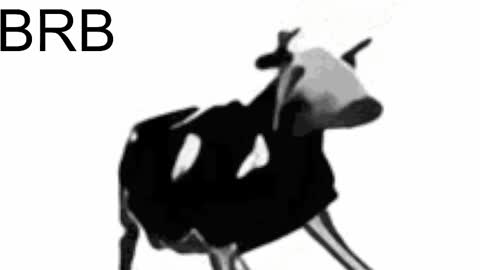 just call me Lana  and her security online show from 15, 2, 2025