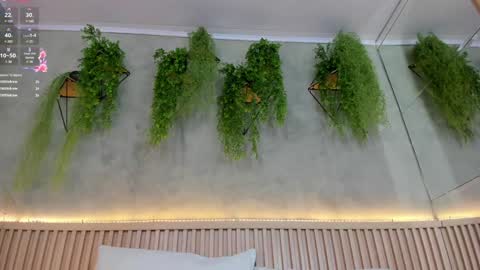 lana_lann online show from 2, 2, 2025