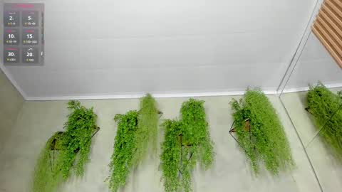 lana_lann online show from 28, 9, 2025