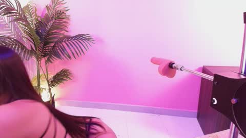 LANA online show from 1, 3, 2026