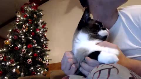 Lance online show from 30, 12, 2024