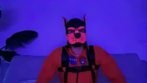 landosmith003 online show from 9, 6, 2026