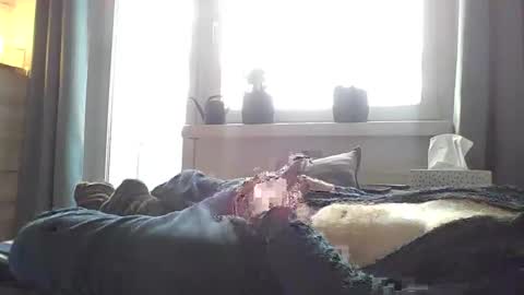 lari310580 online show from 18, 12, 2025