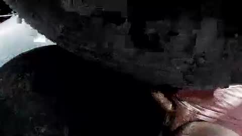 latexchris77 online show from 16, 4, 2026