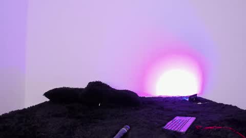 laurensmith9 online show from 26, 9, 2025