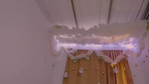 Snapshot of lauu_g chatting on 29, 12, 2024 Lauu G online show from 29, 12, 2024