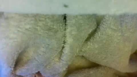 layannalea online show from 9, 4, 2026