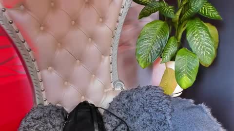 Layla online show from 26, 10, 2025