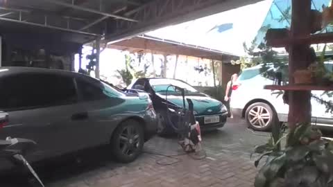 kelly online show from 19, 4, 2026