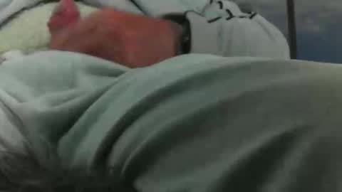 leckfreund53 online show from 3, 10, 2025