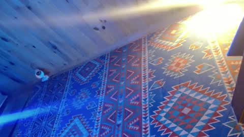 Snapshot of lefrancais33000 chatting on 20, 2, 2025 Dliciousman online show from 20, 2, 2025