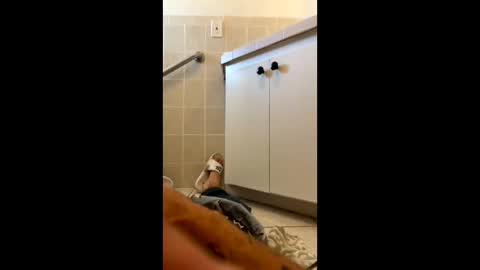 Snapshot of legal4 chatting on 9, 3, 2026 legal4 online show from 9, 3, 2026