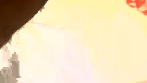 Snapshot of legal4 chatting on 11, 3, 2026 legal4 online show from 11, 3, 2026