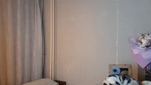 Mia online show from 24, 4, 2026