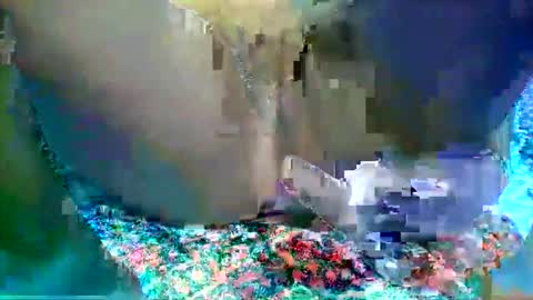 Snapshot of leilah_hope chatting on 16, 2, 2026 leilah_hope online show from 16, 2, 2026