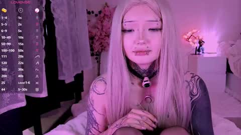 Lein online show from 20, 2, 2026