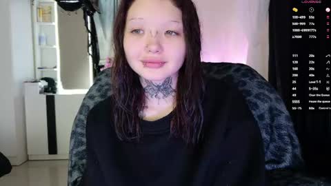 Lein online show from 20, 6, 2026