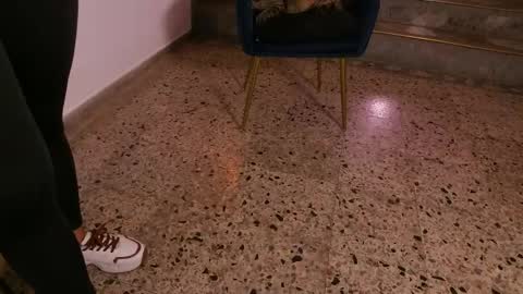 Leja online show from 28, 4, 2026