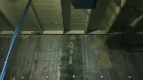 leo199984 online show from 9, 3, 2026