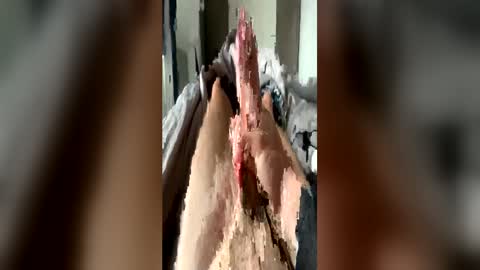 leo41231 online show from 21, 4, 2026