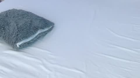 LUCY online show from 28, 11, 2025