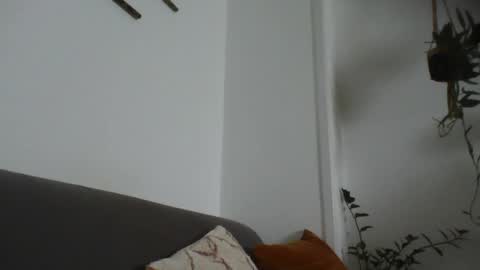 Leonardo online show from 8, 6, 2026