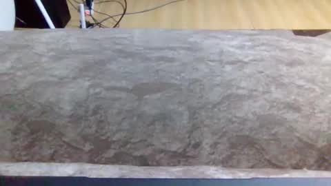 leopardking02 online show from 16, 12, 2025