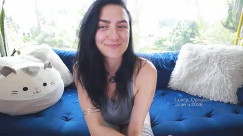 Levity online show from 5, 6, 2026