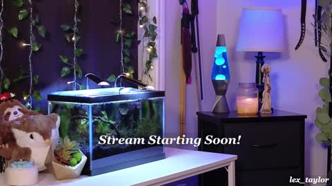 Lex online show from 19, 12, 2024