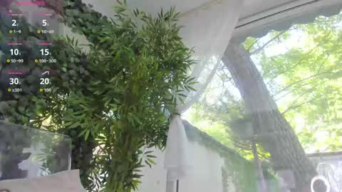 lexi_storm online show from 5, 5, 2026