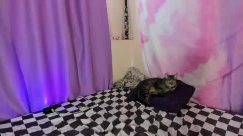 Snapshot of lexy_l0vy chatting on 1, 8, 2026 LexxxY online show from 1, 8, 2026