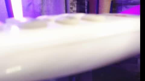 lexywetrain online show from 19, 10, 2025