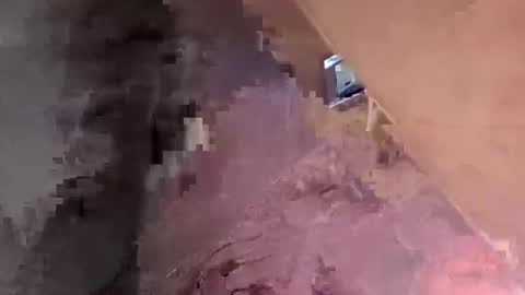 lezerae45791709 online show from 7, 3, 2026