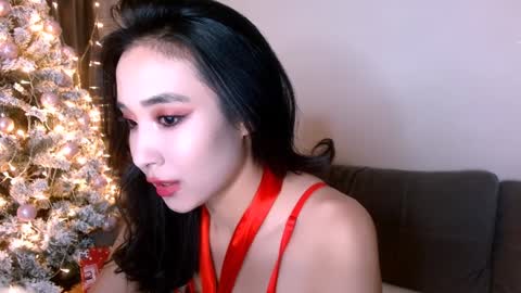 Li  online show from 27, 12, 2024