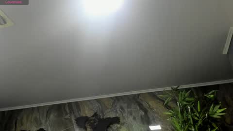 LIAM KLEIN online show from 25, 1, 2025