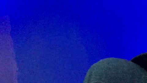 Snapshot of lickyouryoni chatting on 25, 12, 2024 LickYourYoni online show from 25, 12, 2024