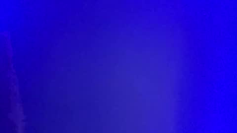 Snapshot of lickyouryoni chatting on 1, 1, 2025 LickYourYoni online show from 1, 1, 2025