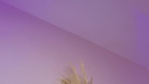 Liiam Luna online show from 21, 4, 2026