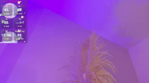 Liiam Luna online show from 24, 4, 2026