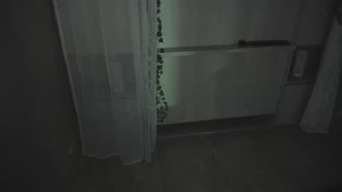         online show from 16, 12, 2025