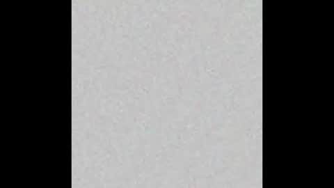 lily  online show from 15, 11, 2025